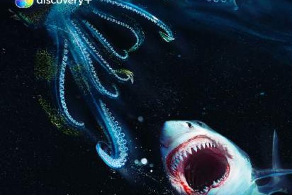 Kraken в россии